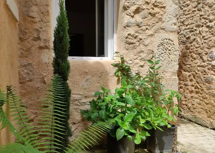 Patio En Perigord 公寓 *